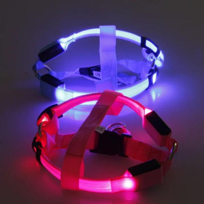 Rechargeable LED Harness - Multiple Colors