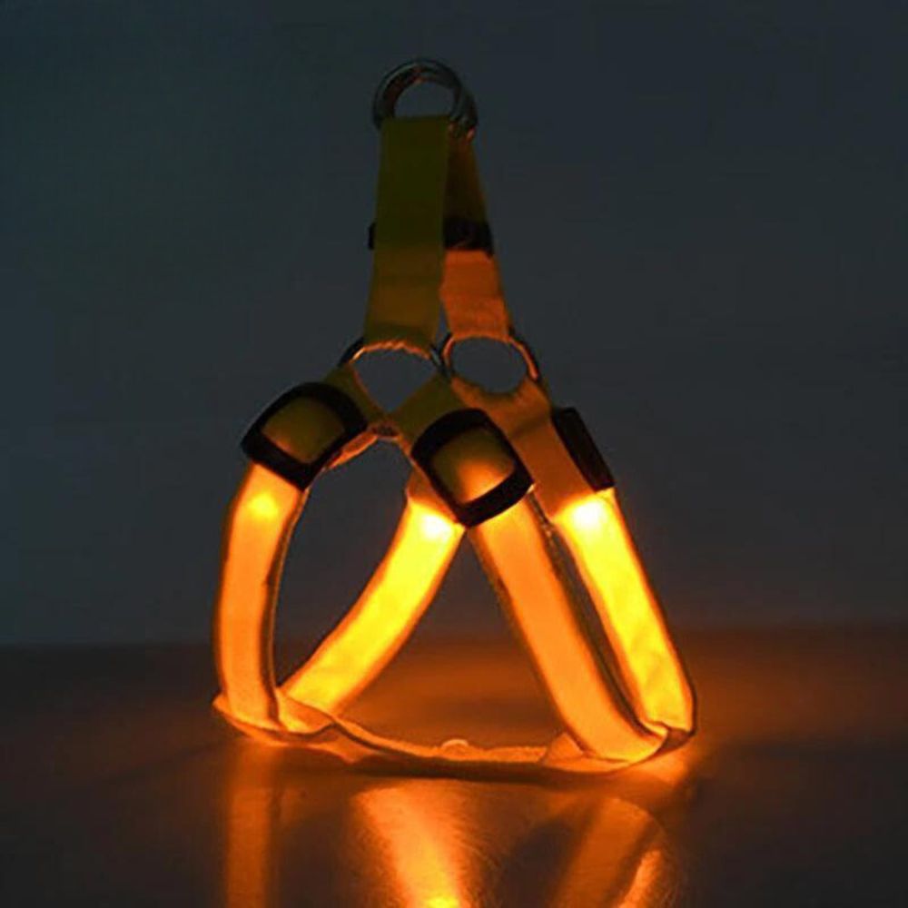 Rechargeable LED Harness - Multiple Colors