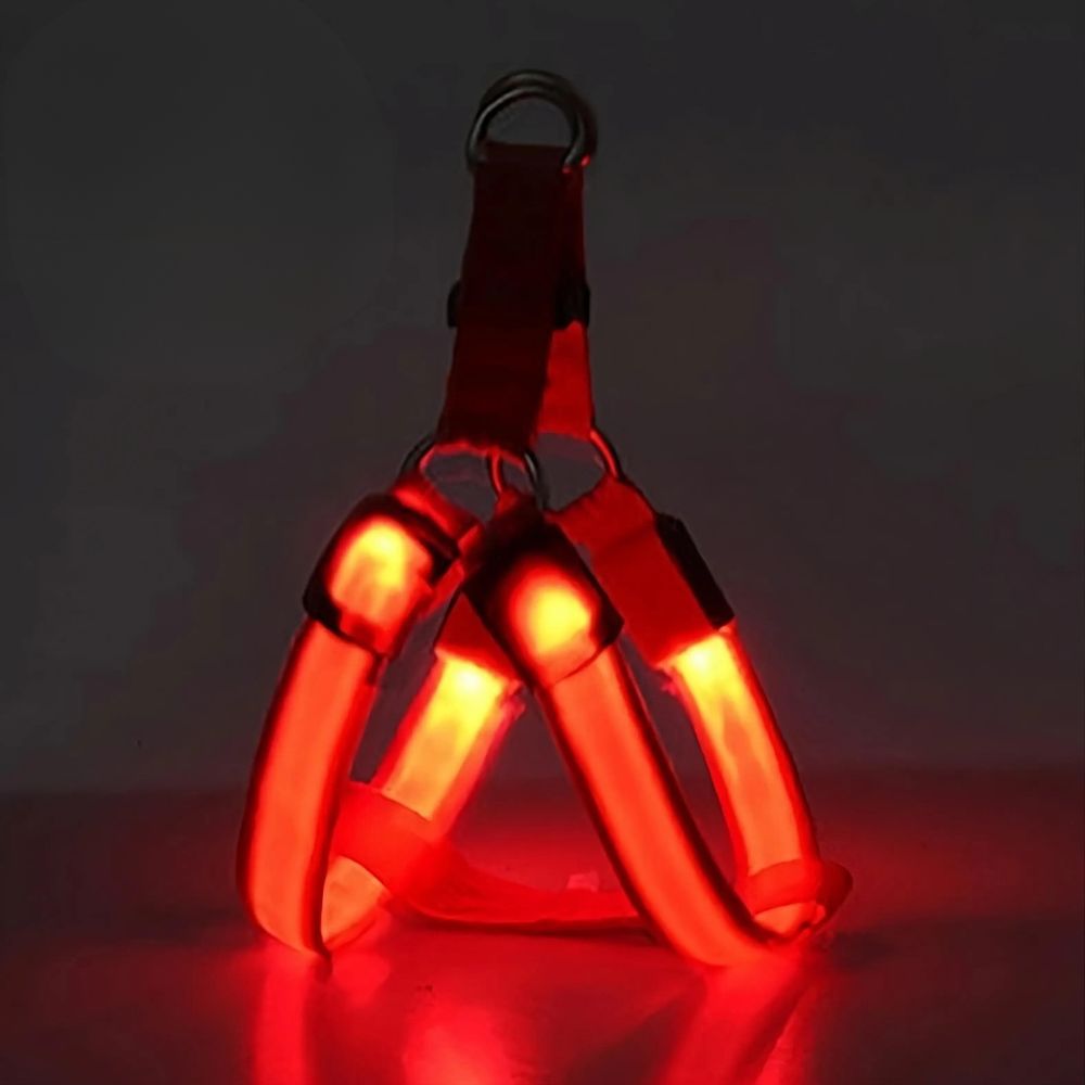 Rechargeable LED Harness - Multiple Colors