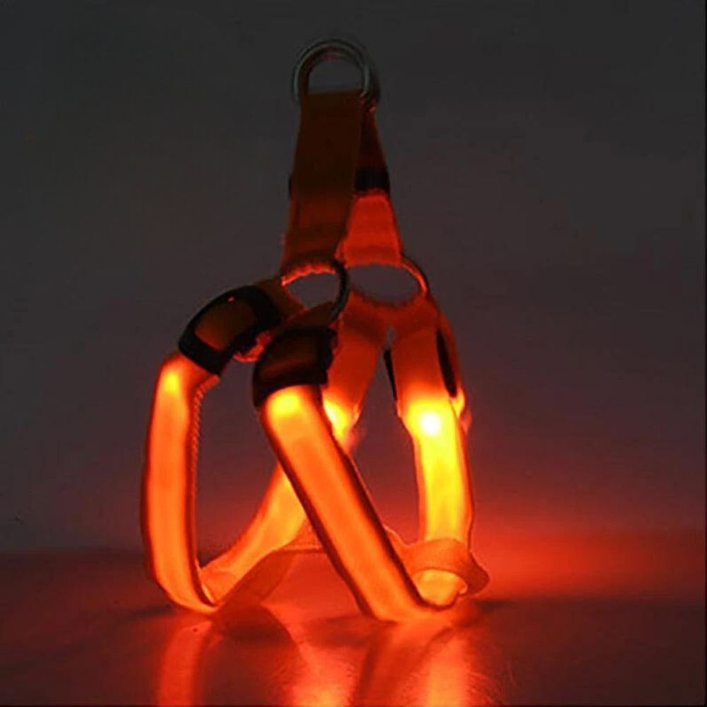 Rechargeable LED Harness - Multiple Colors