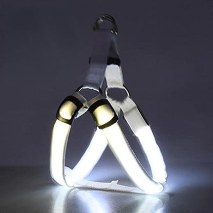 Rechargeable LED Harness - Multiple Colors