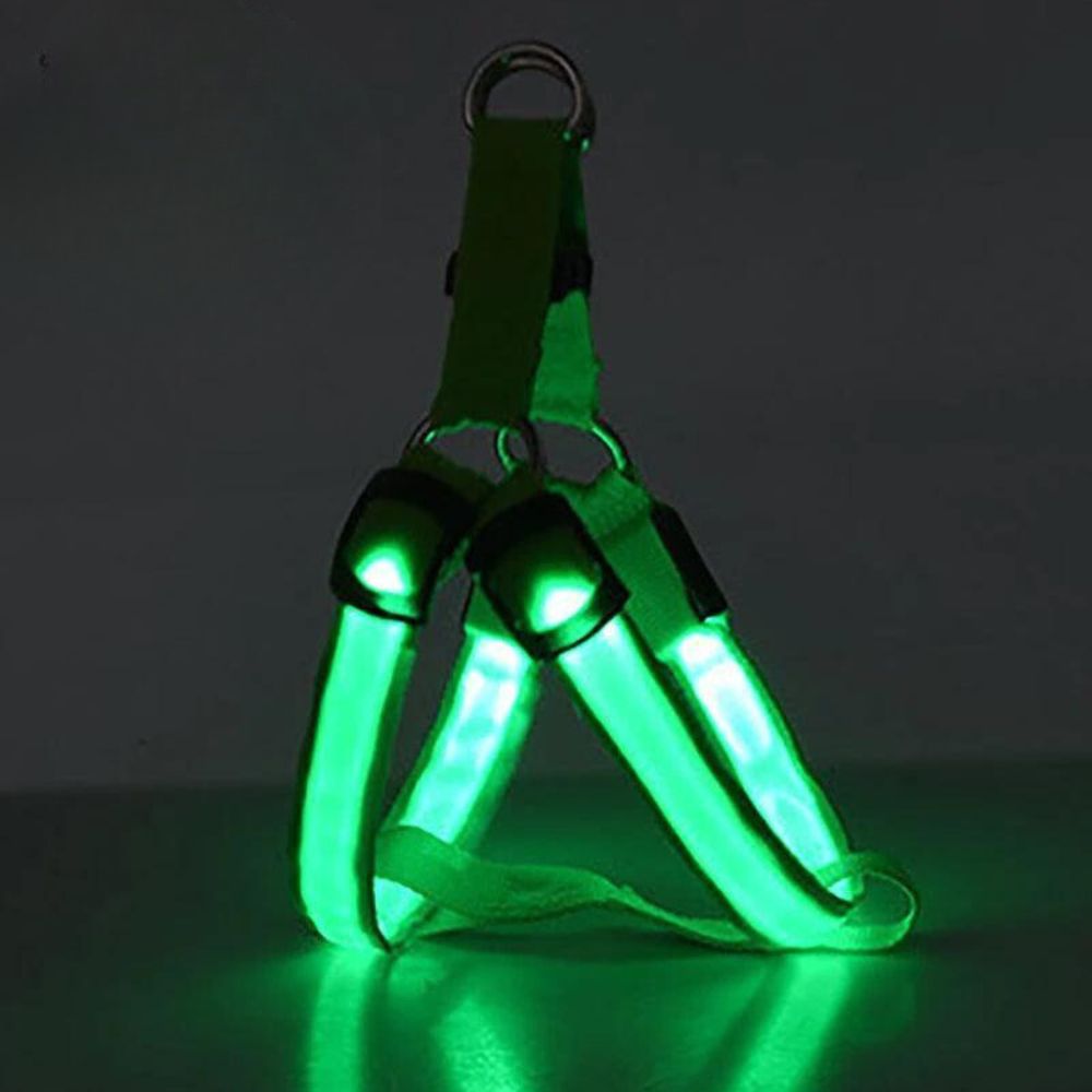 Rechargeable LED Harness - Multiple Colors