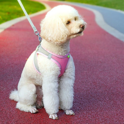 Minimalist Dog Harness + Free Leash