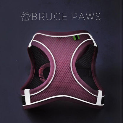 Minimalist Dog Harness + Free Leash