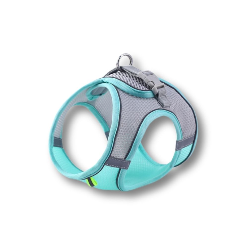 Minimalist Dog Harness + Free Leash