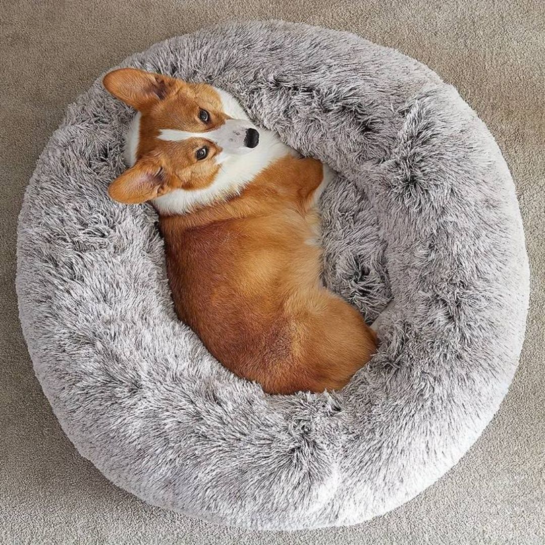 Round Plush Bed - Black / Gray