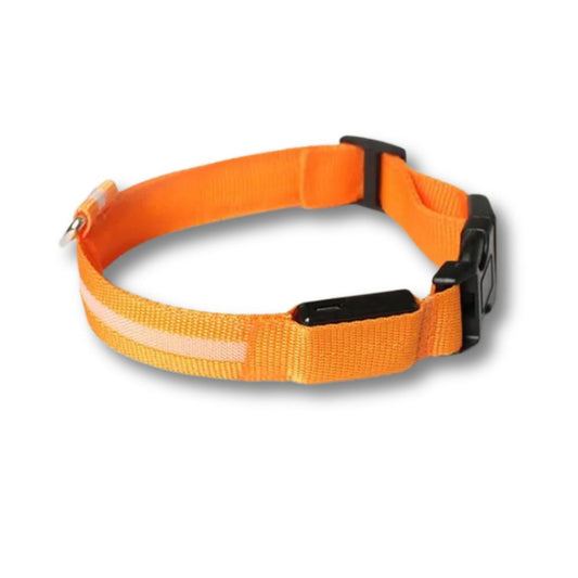 Rechargeable LED Dog Collar - Orange