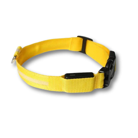 Rechargeable LED Dog Collar - Yellow