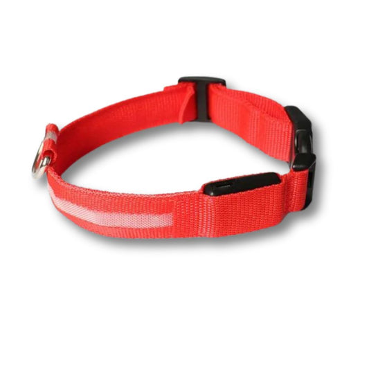 Rechargeable LED Dog Collar - Red