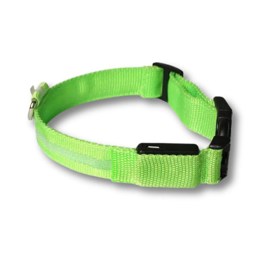 Rechargeable LED Dog Collar - Green