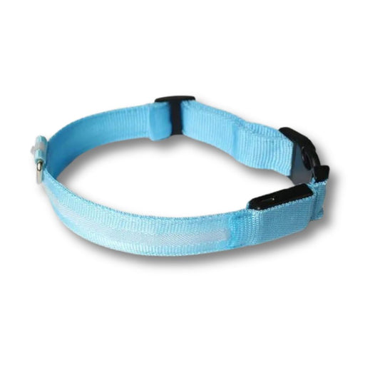 Rechargeable LED Dog Collar - Blue