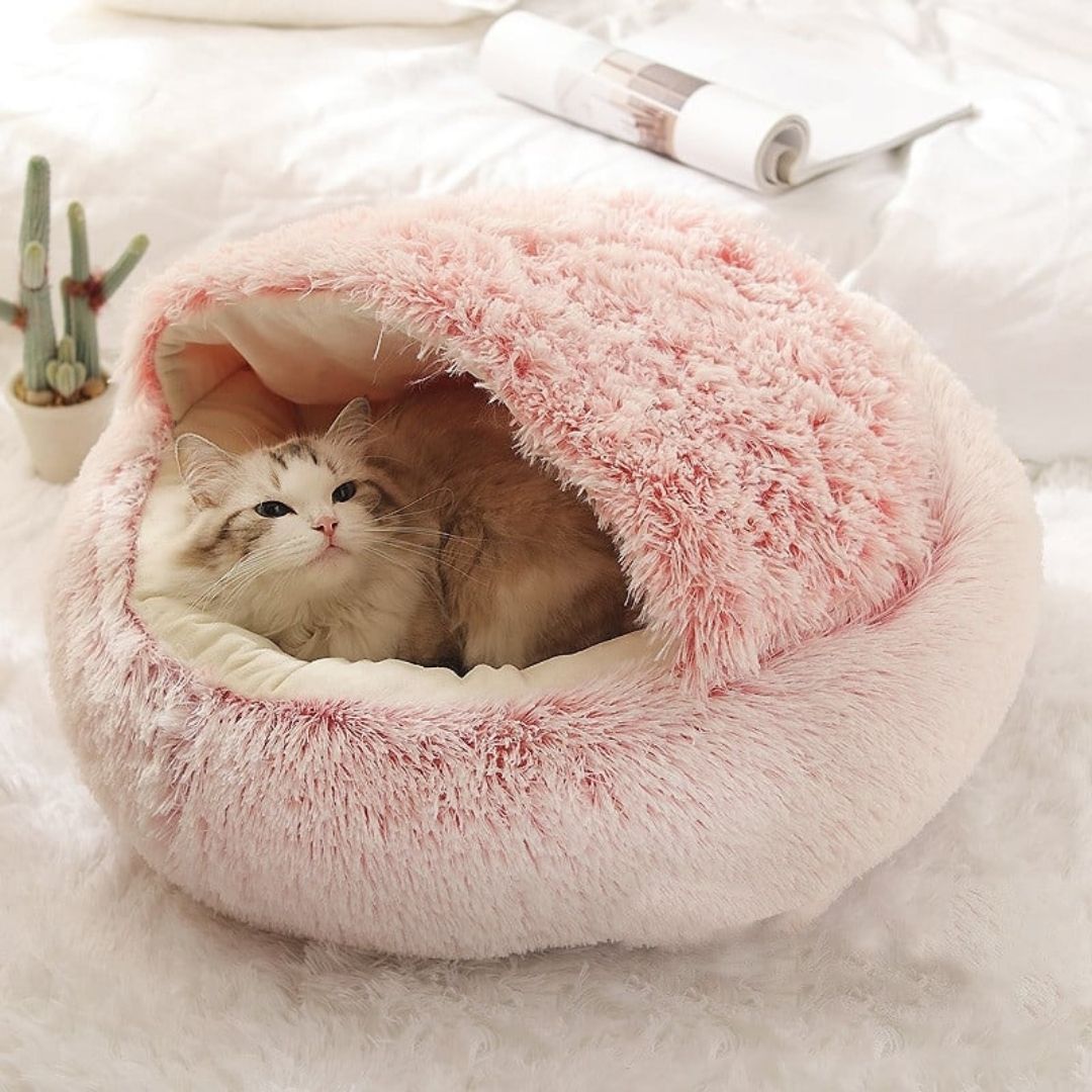 Semi-closed Bed For Dogs & Cats