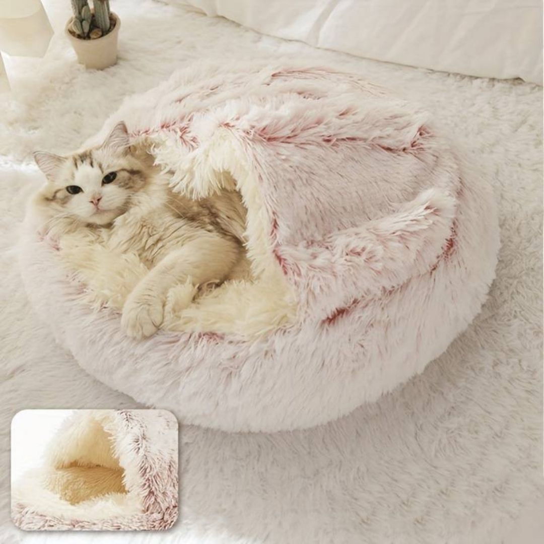 Semi-closed Bed For Dogs & Cats