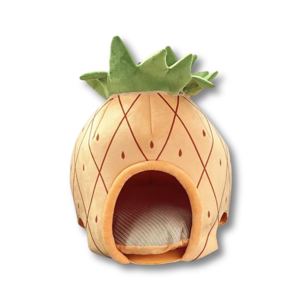 Pineapple House For Dogs & Cats