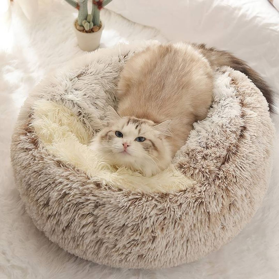 Semi-closed Bed For Dogs & Cats