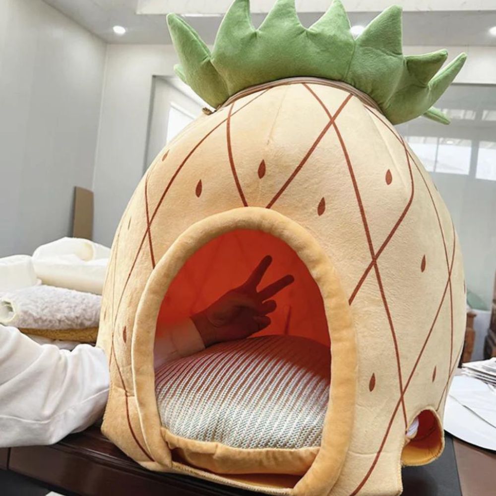 Pineapple House For Dogs & Cats