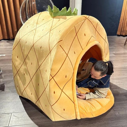 Pineapple House For Dogs & Cats