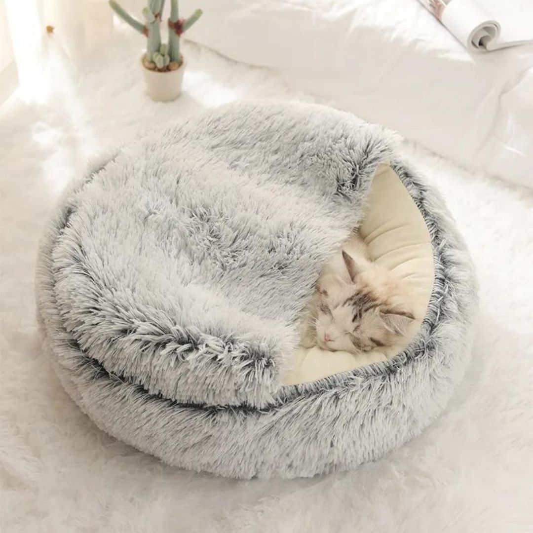 Semi-closed Bed For Dogs & Cats