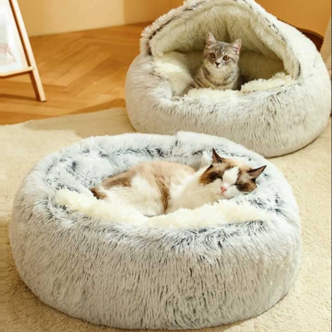 Semi-closed Bed For Dogs & Cats