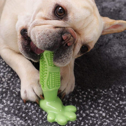 Chewing Toy For Teeth Cleaning