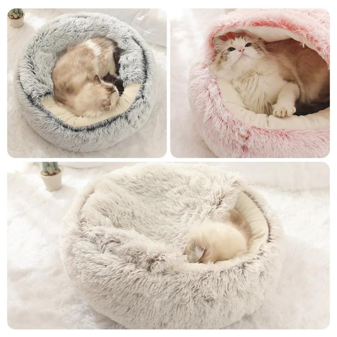 Semi-closed Bed For Dogs & Cats