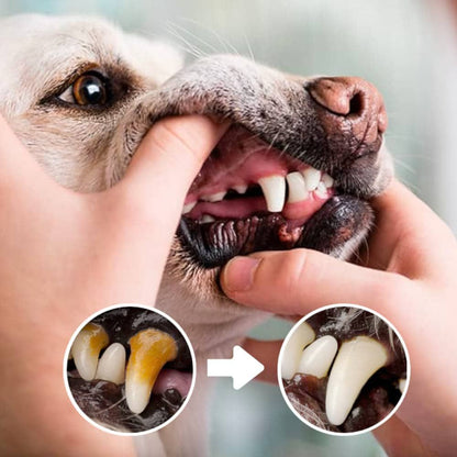 Chewing Toy For Teeth Cleaning