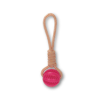 Treats Dispensing Ball On A Rope