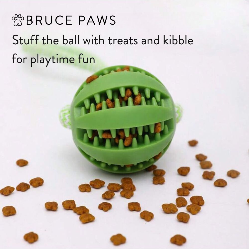 Treats Dispensing Ball On A Rope