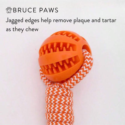 Treats Dispensing Ball On A Rope