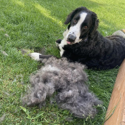 Grooming Brush