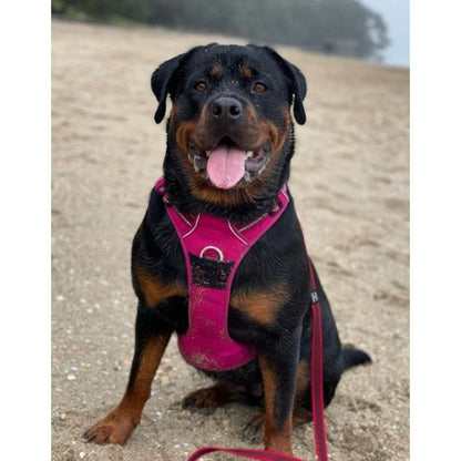 Quick Release Dog Harness - Pink