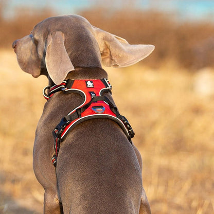 Quick Release Dog Harness - Red