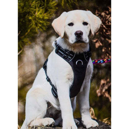 Quick Release Dog Harness - Black