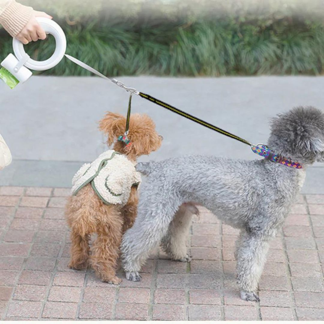 High End Dog Leash