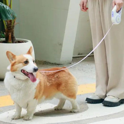 Luminous Dog Leash