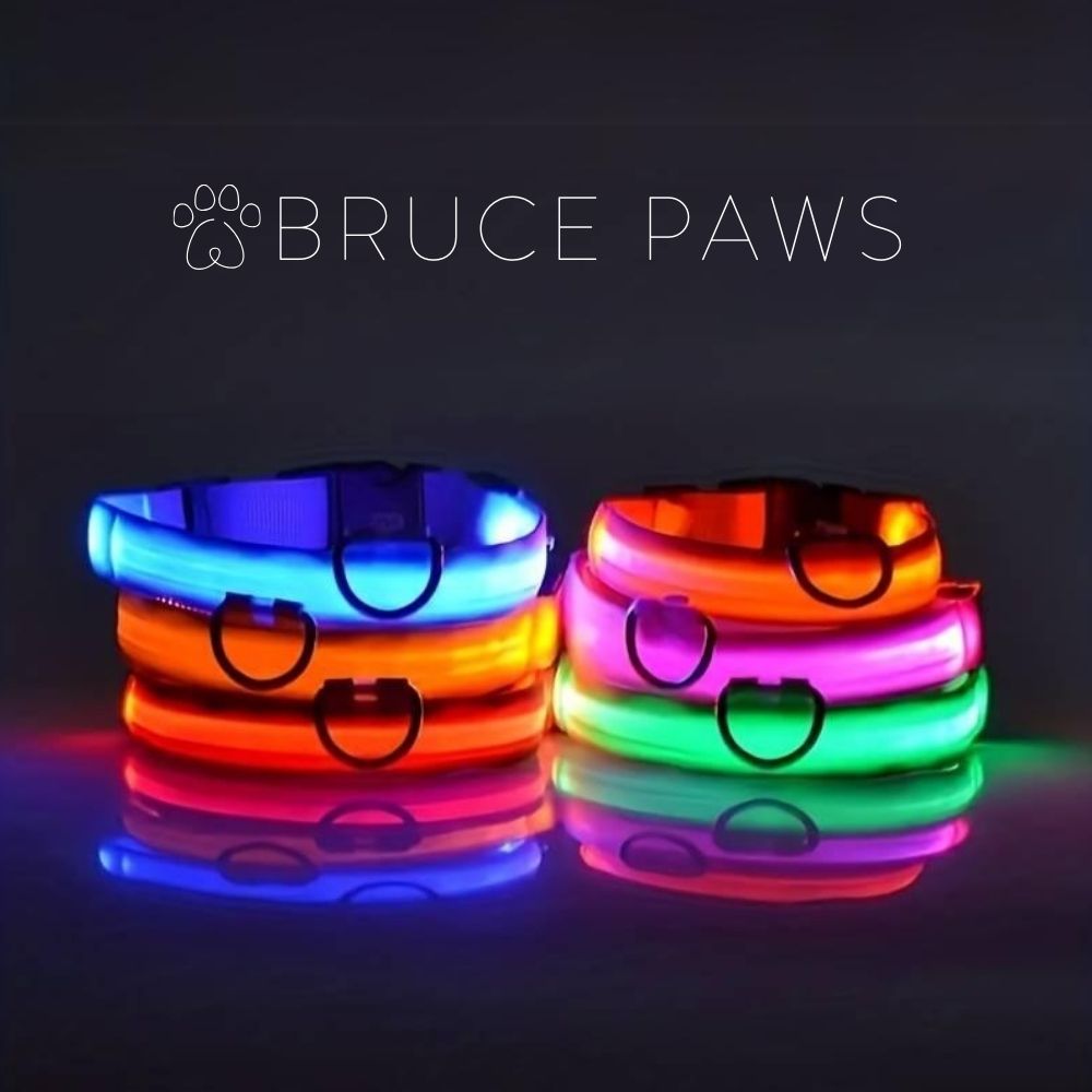 Rechargeable LED Dog Collar - Orange