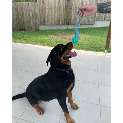 Treats Dispensing Ball On A Rope