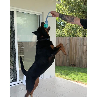 Treats Dispensing Ball On A Rope