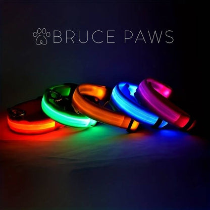 Rechargeable LED Dog Collar - Orange