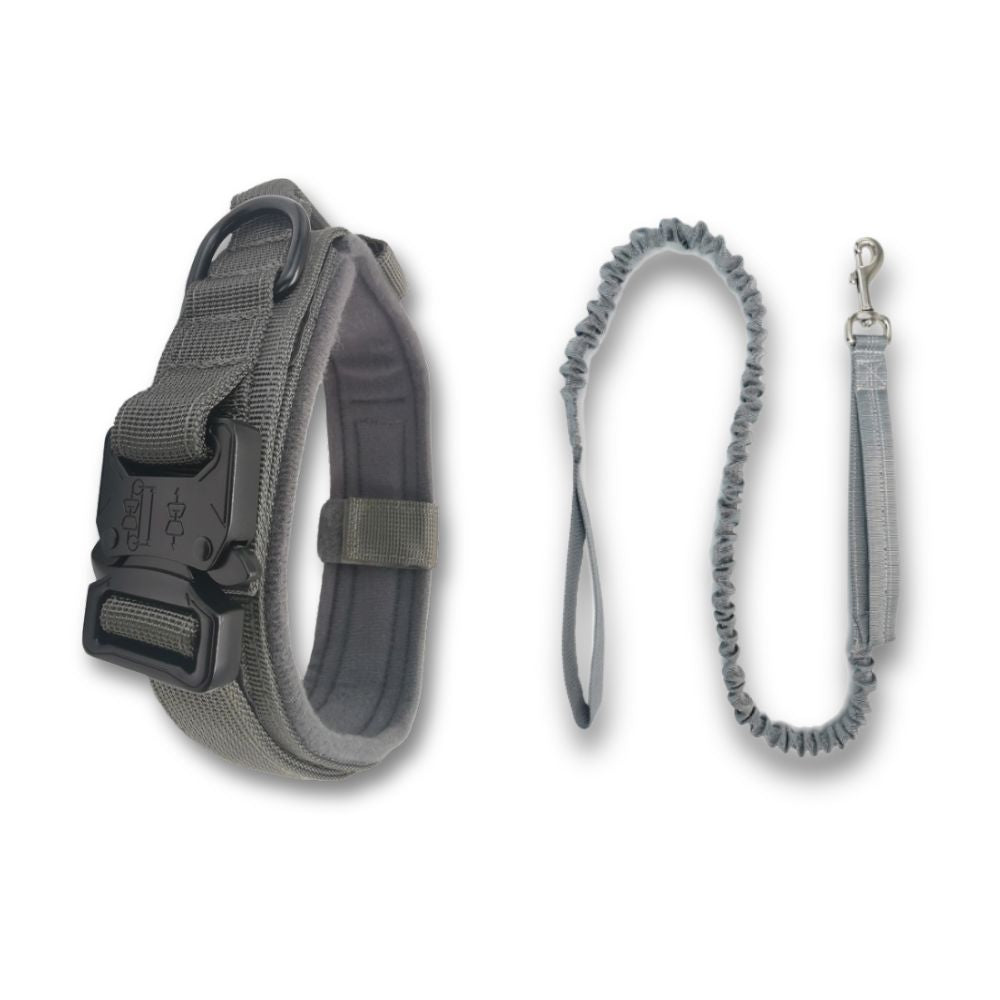 Tactical Collar + Free Traction Rope