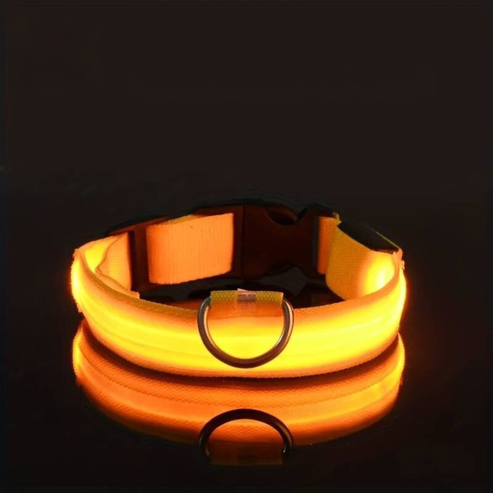 Rechargeable LED Dog Collar - Yellow