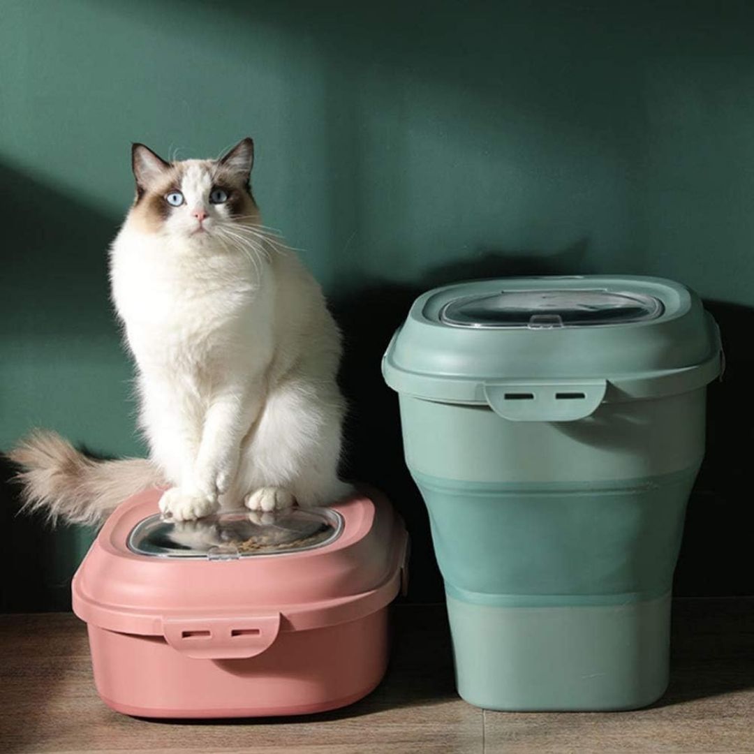 Collapsible Food Storage Box