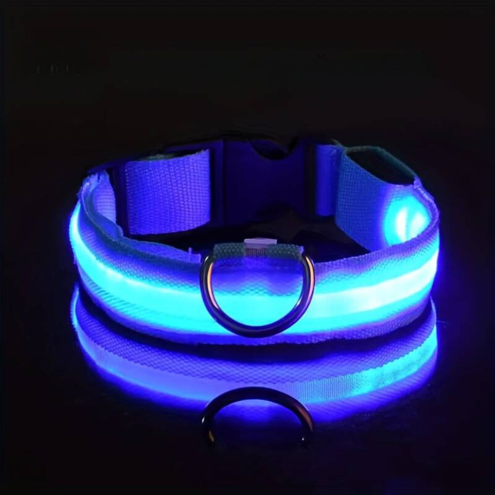 Rechargeable LED Dog Collar - Blue