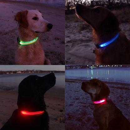 Rechargeable LED Dog Collar - Green