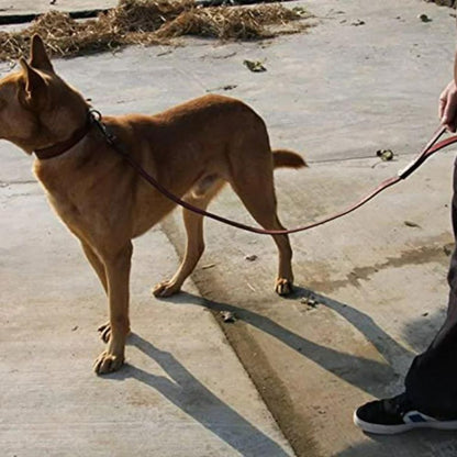 Synthetic Leather Dog Leash