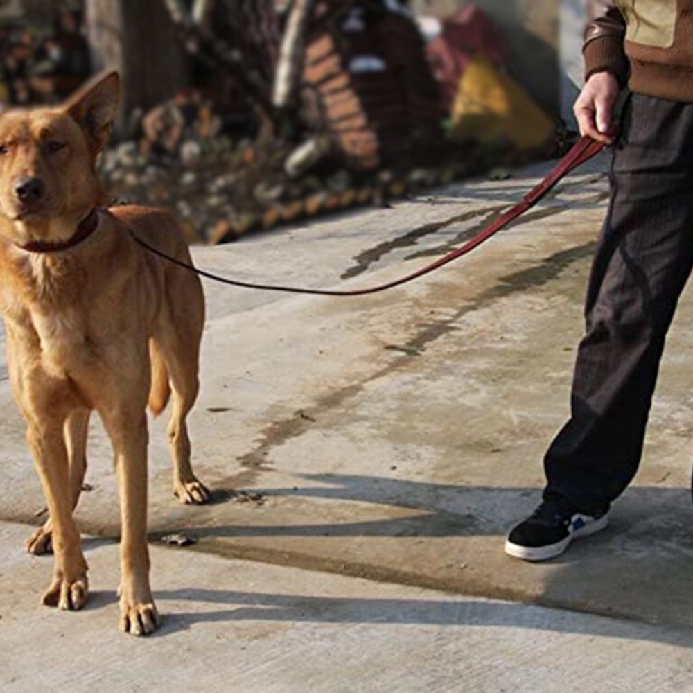 Synthetic Leather Dog Leash