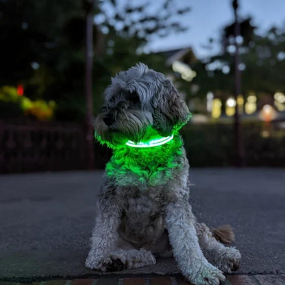 Rechargeable LED Dog Collar - Black