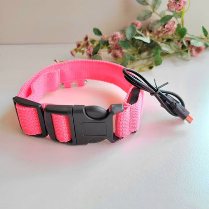 Rechargeable LED Dog Collar - Pink