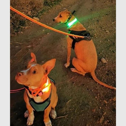 Rechargeable LED Dog Collar - Green