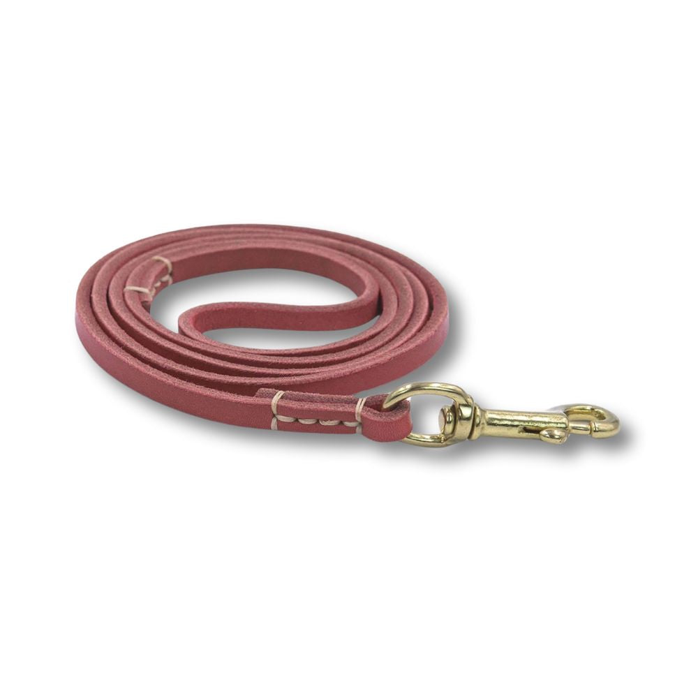 Synthetic Leather Dog Leash